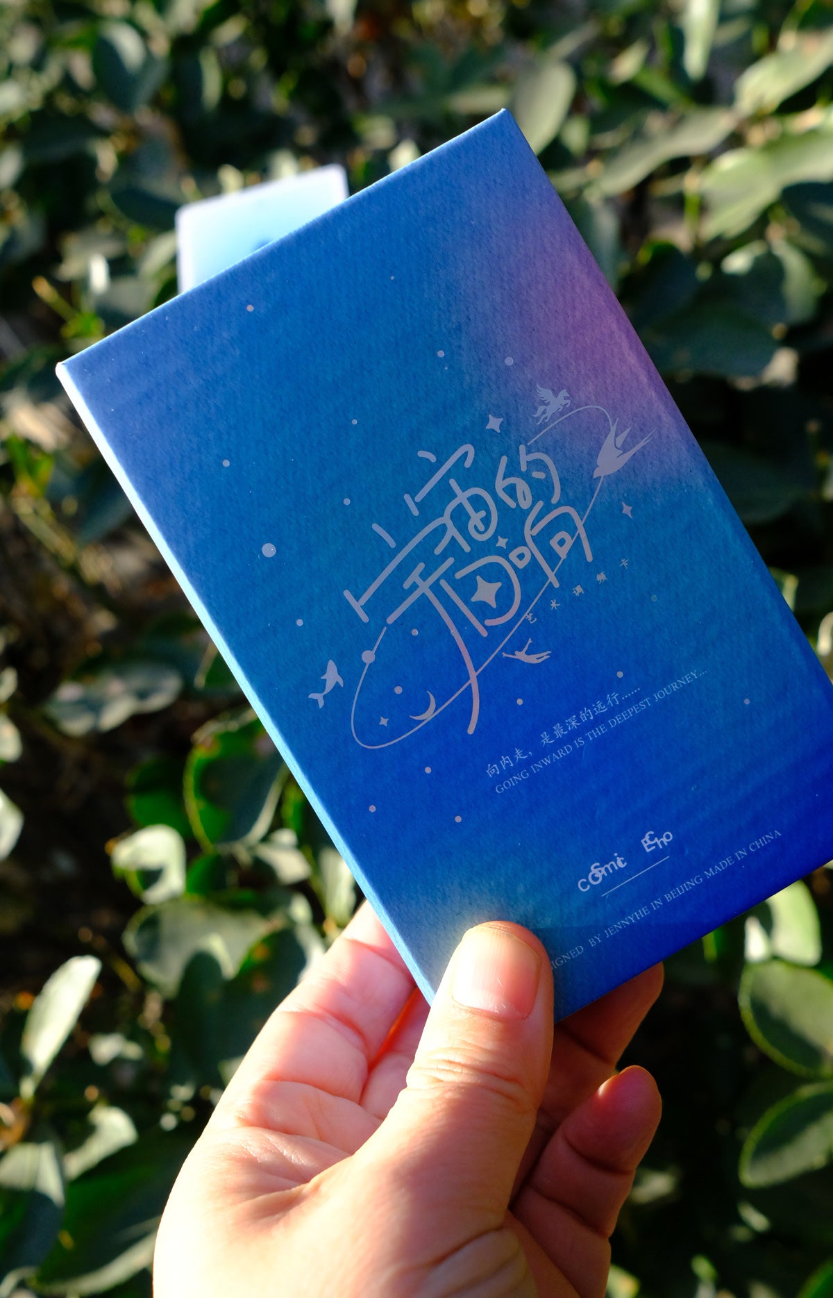 Hand holding the blue Cosmic Echo art deck box outdoors