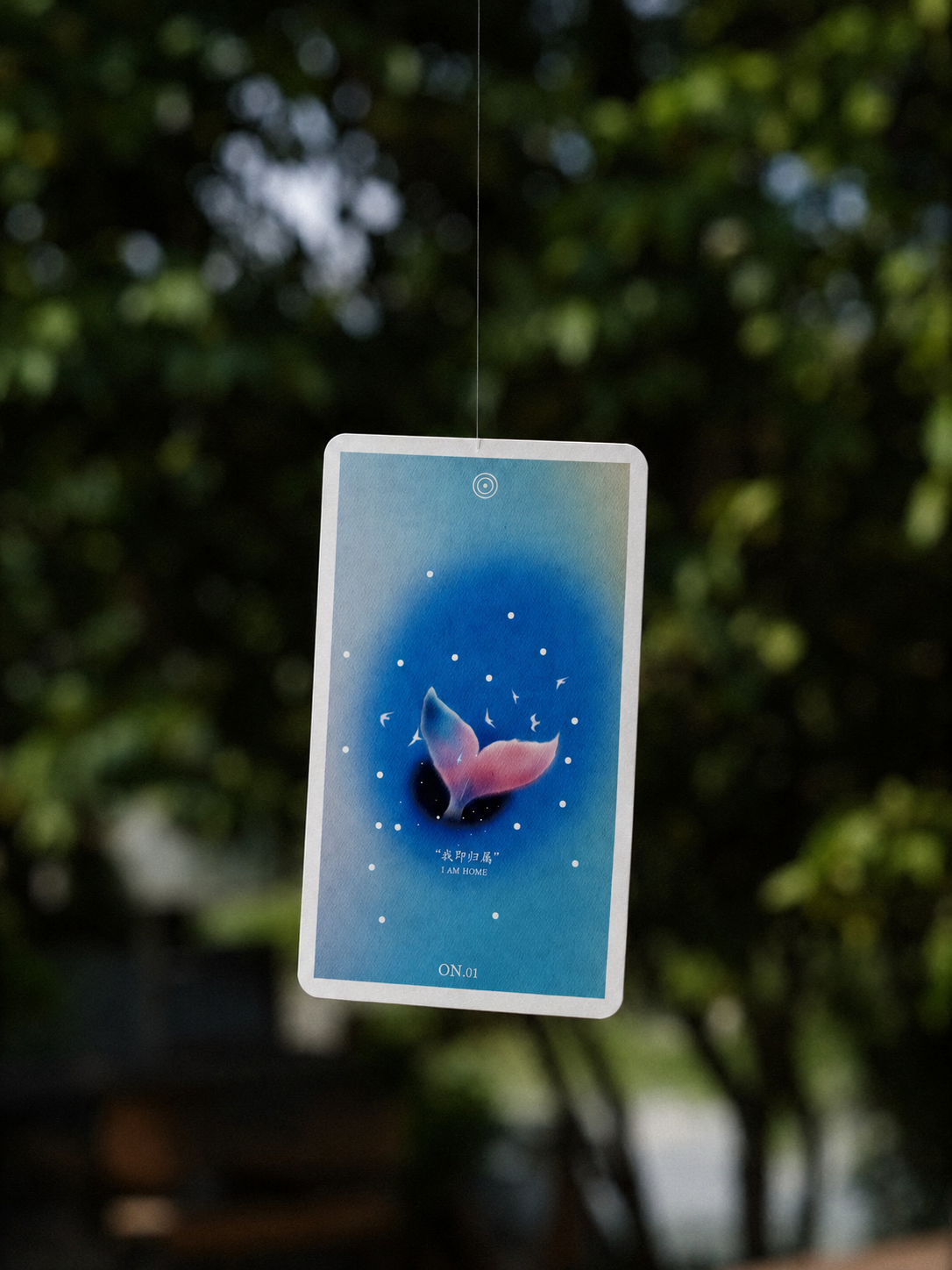 Cosmic Echo I Am Home whale-tail card displayed outdoors