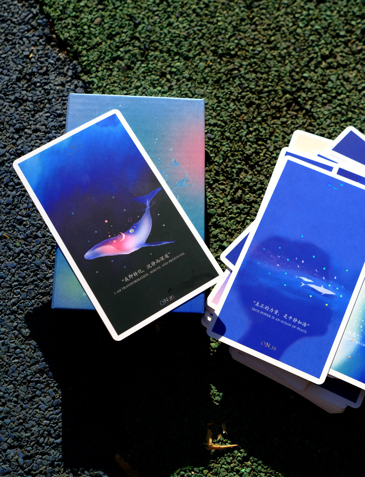 Whale-themed Cosmic Echo art cards displayed beside the box